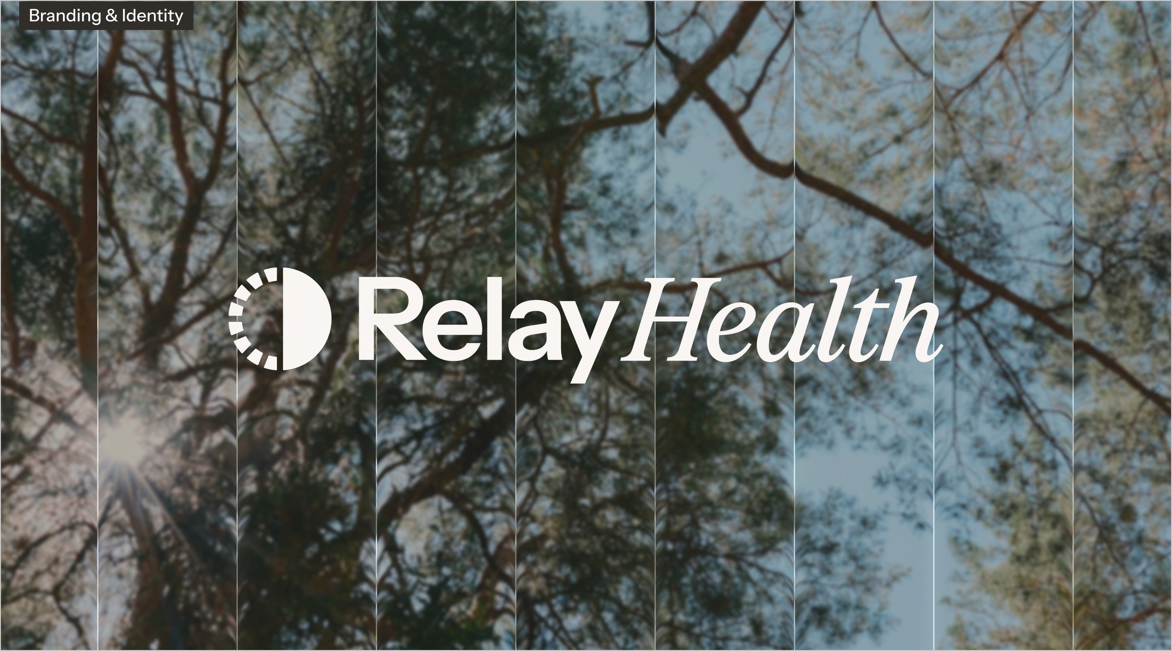 Landing page: the Relay Health wordmark over sunlight through tree canopies